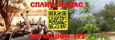 спиды Ставрополь