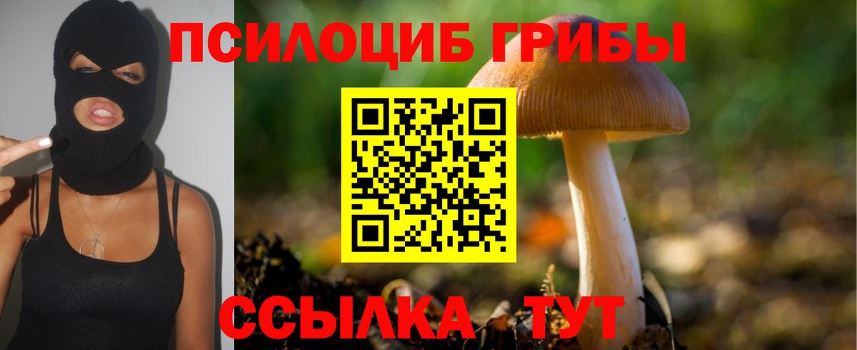 Галлюциногенные грибы Psilocybine cubensis Нижнеудинск